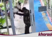 3 Fakta Ormas di Bekasi yang Marah, Sampah Jadi Senjata Protes di Dinkes