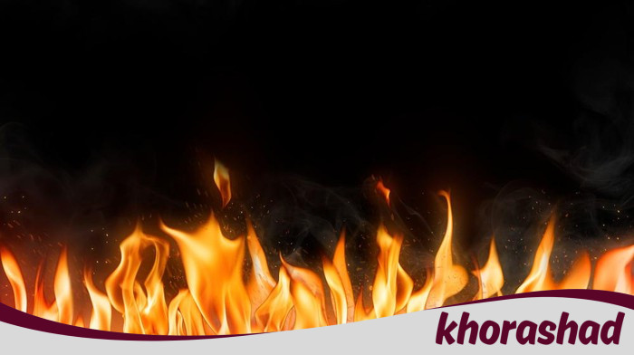 Kebakaran Hutan di Korsel: Tragedi yang Mengejutkan dan Mencekam