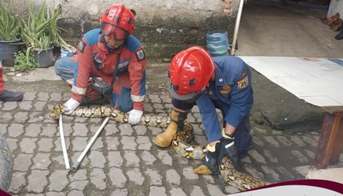 “Terungkap: Damkar Jakarta Menerima Laporan Unik Selain Kebakaran”