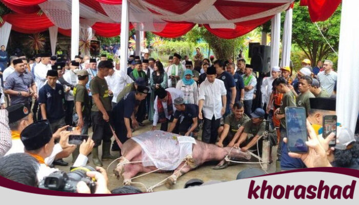 “Lebaran 2024 di Jakarta Tanpa Ini Tidak Akan Lengkap: Tradisi Betawi ‘Andilan Potong Kebo’!” #TradisiBetawi #Lebaran2024 #JakartaBerbudaya #PotongKebo