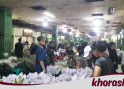 H-1 Lebaran, Pasar Bunga Rawa Belong Jakbar Dipadati Pembeli!
