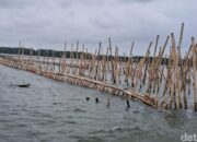 Pagar Laut Bekasi: 4 Fakta Mengejutkan yang Jerat 9 Tersangka dalam Kasus SHM