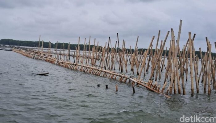Pagar Laut Bekasi: 4 Fakta Mengejutkan yang Jerat 9 Tersangka dalam Kasus SHM