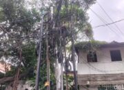 Kuningan dalam Kebahaman: Kabel Semrawut Ancam Keselamatan Warga