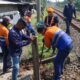 Dari Kecelakaan ke Tutup, Perlintasan Sebidang Bogor-Cilebut: Benarkah Solusi yang Tepat?