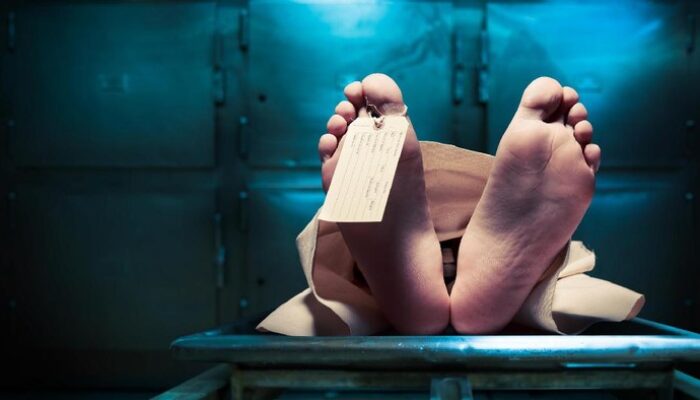 Sopir Truk Derek Bogor: Meninggal Mysterius saat Parkir