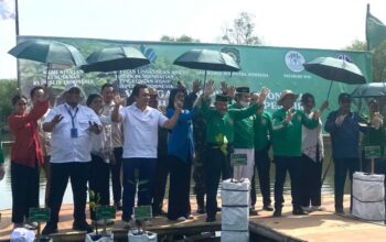 Agung Sedayu Gandeng Natabumi, 7.000 Mangrove Ditanam di Pesisir – Update 3