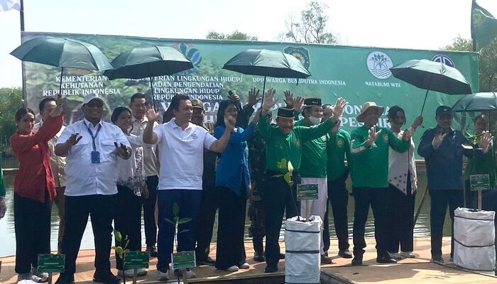 Agung Sedayu Gandeng Natabumi, 7.000 Mangrove Ditanam di Pesisir – Update 3