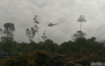 Polres Pelalawan Tangkap 2 Tersangka Pembakar Hutan di TNTN – Update 2