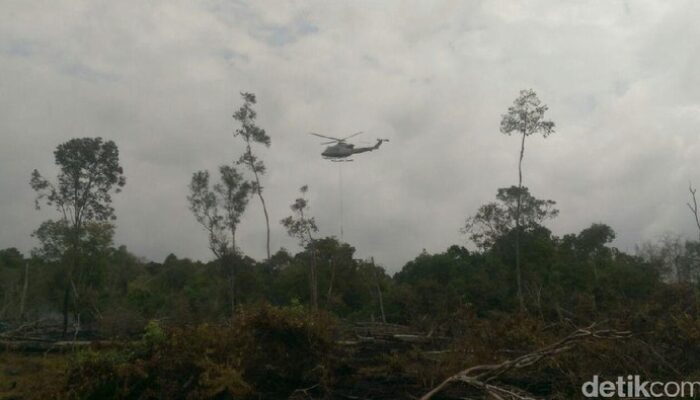 Polres Pelalawan Tangkap 2 Tersangka Pembakar Hutan di TNTN – Update 2
