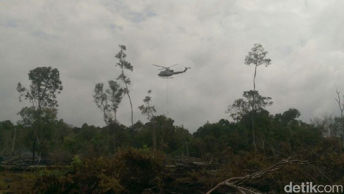 Polres Pelalawan Tangkap 2 Tersangka Pembakar Hutan di TNTN - Update 2