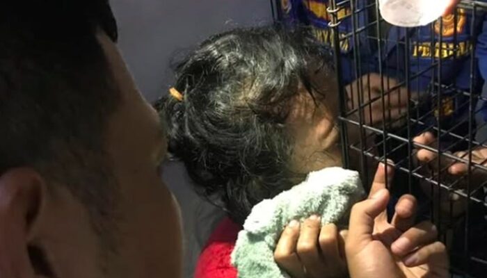 Matanya Tertancap Besi, Warga Tangsel Terkejut, Damkar Segera Evakuasi