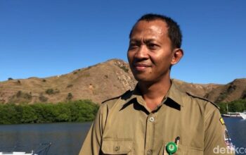 Kemenhut Terungkap: Penyelundupan Satwa Liar ke AS sebagai Souvenir Mewah, Ancaman bagi Keanekaragaman Hayati