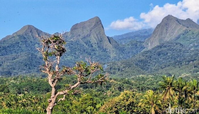 Risiko Kecelakaan Tinggi, Pendakian 3 Gunung di Bondowoso Dilarang – Update 2