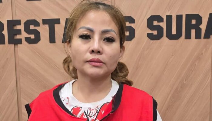 Jan Hwa Diana, Bos Sentosa Seal, Ditetapkan Tersangka Perusakan Mobil