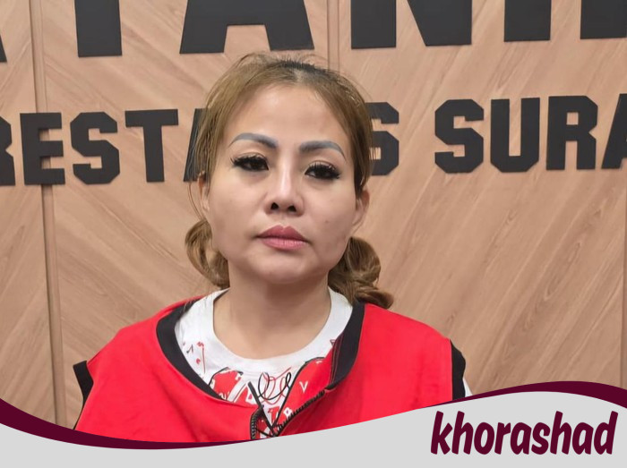 Jan Hwa Diana, Bos Sentosa Seal, Ditetapkan Tersangka Perusakan Mobil