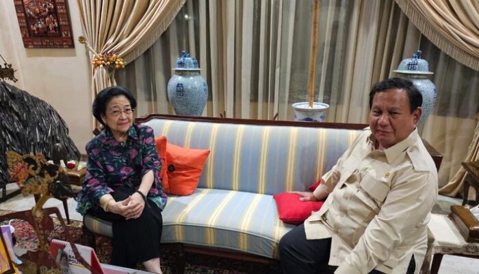 “Dari Nasi Goreng Mega ke Prabowo, Analisis Pakar Bongkar Soal Wapres yang Jarang Diketahui!”