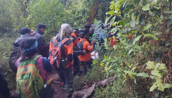 Pendaki Berbobot 99 Kg Meninggal di Gunung Lawu, Evakuasi Selama 12 Jam – Update 3
