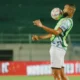 Yuran Fernandes Dihukum 1 Tahun, Ketum PSSI Disebut Kaget: Apa yang Sebenarnya Terjadi di Balik Layar?