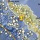 Guncangan Membuat Ribuan Orangungsung: Ini Titik Pusat Gempa M 6,2 yang Guncang Blang Pidie Aceh