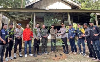 [Menghijaukan Hutan Suaka Rimbang Baling Riau untuk Menjaga Kehidupan Satwa Langka]