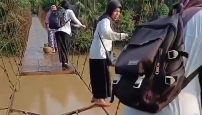 4 Guru SD di Merangin Jambi Viral Lewati Tali Jembatan Gantung untuk Tetap Mengajar