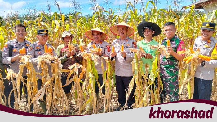 46 Ton Jagung dari Polda Jambi, Langkah Nyata Dukung Ketahanan Pangan