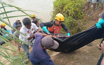 [Sengat Buaya di Sumbar: Warga Nyeberang Kanal, Tewas dalam Sekejap]
