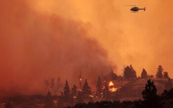 Kebakaran Hebat Landa Hutan di Kanada: 2 Orang Tewas-Ribuan Warga Mengungsi – Update 2