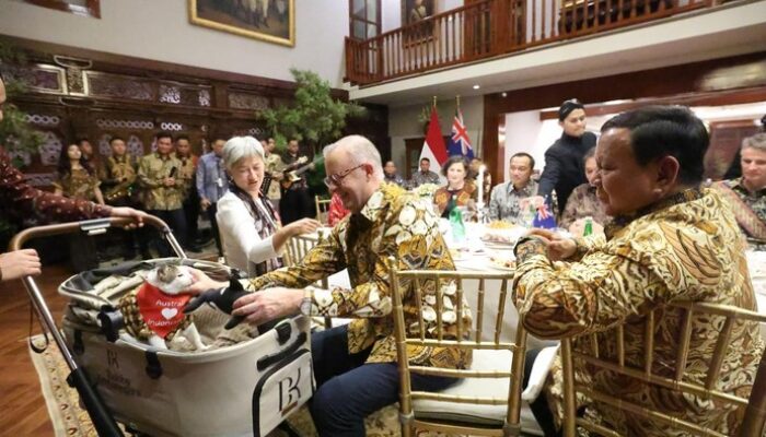 “Momen PM Australia Beri Kalung Syal ke Bobby Kertanegara: Jalinan Rasa antara Kepala Negara dan Kucing?”