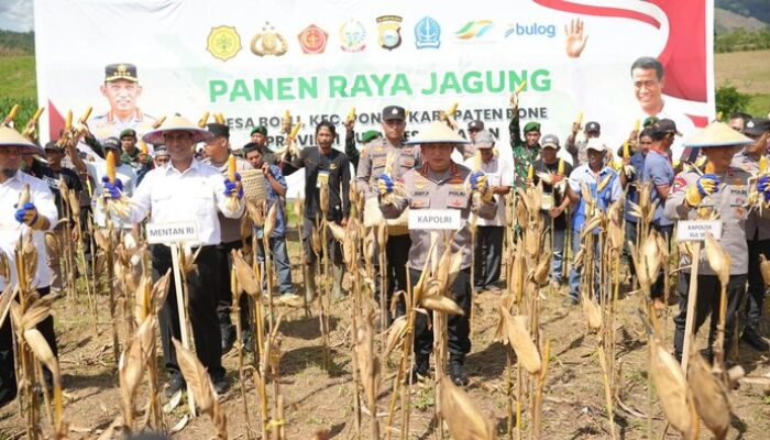 Dukung Ketahanan Pangan, Kapolri dan Mentan Berbagi Senjata di Panen Raya Jagung Bone