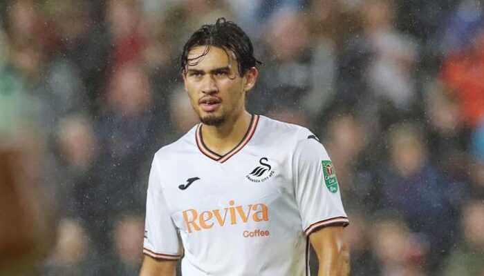 Nathan Tjoe-A-On, Siapa yang Menentukan Nilainya di Swansea City?