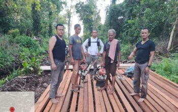 Polisi Bongkar Pembalakan Liar di Hutan Senepis Riau, 2,5 Ton Kayu Disita, Bongkar Skandal Kekalahan Hutan