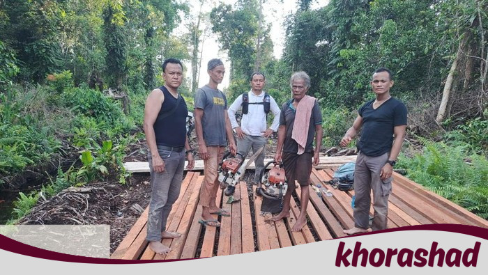 Polisi Bongkar Pembalakan Liar di Hutan Senepis Riau, 2,5 Ton Kayu Disita, Bongkar Skandal Kekalahan Hutan