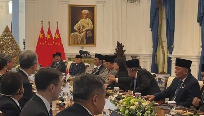 “Dari Wamen ke Penerjemah Prabowo di Depan PM China: Cerita Menakjubkan Stella yang Pecah Belah!”