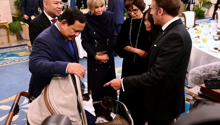 [Kucing Prabowo yang Menjengkelkan: Saat Macron-Brigitte di Istana]
