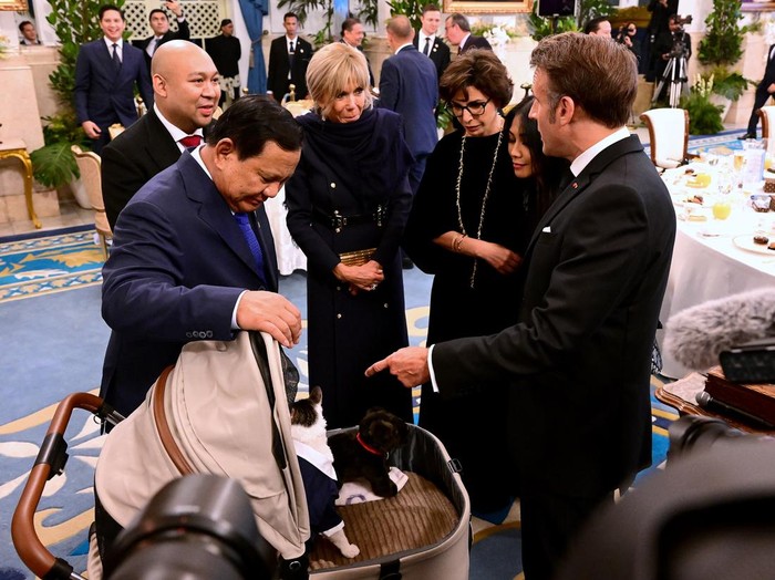 [Kucing Prabowo yang Menjengkelkan: Saat Macron-Brigitte di Istana]