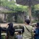 “Healing Murah Meriah Ala Warga Jakarta di Ragunan, Konsep Baru Kesehatan yang Mungkin Belum Pernah Anda Dengar!”