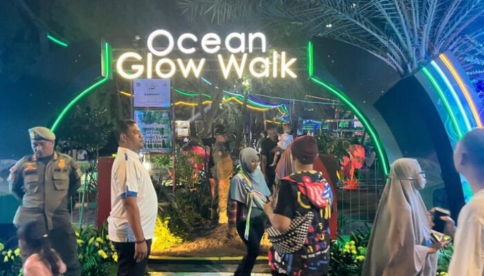 “Illumination Island: Pengalaman Bawah Laut Jakarta yang Membuat Nafas Tercekik”