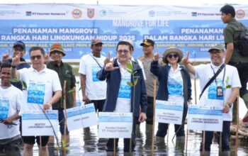 Freeport & KLH Gerak Cepat Rehabilitasi Mangrove Kalsel, Menyelamatkan Ekosistem