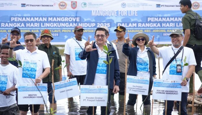 Freeport & KLH Gerak Cepat Rehabilitasi Mangrove Kalsel, Menyelamatkan Ekosistem