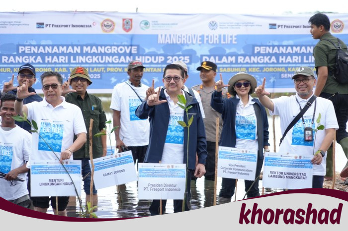 Freeport & KLH Gerak Cepat Rehabilitasi Mangrove Kalsel, Menyelamatkan Ekosistem