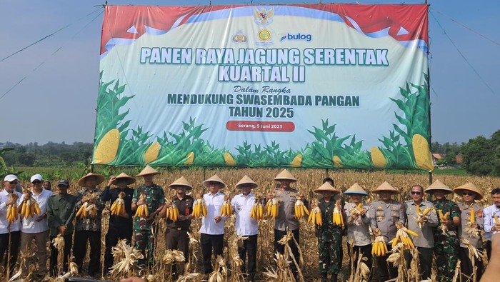 Kapolda Banten-Andra Soni: Dari Panen Raya Jagung ke Harapan Ketahanan Pangan Masyarakat