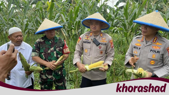 Polres Depok Berkontribusi Besar, Panen 2 Ton Jagung untuk Ketahanan Pangan