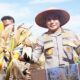 **Potret Panen Raya Jagung di Riau: Dari Rohul hingga Pelalawan, Menjelang Musim Kekeringan?**