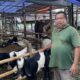 [Kurangnya Kebutuhan, Depok Menyaksikan Penurunan Jual Hewan Kurban Jelang Idul Adha]