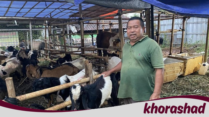 [Kurangnya Kebutuhan, Depok Menyaksikan Penurunan Jual Hewan Kurban Jelang Idul Adha]