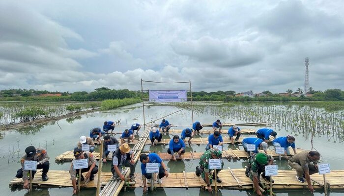 PNM: 287.761 Pohon dan 520 Terumbu Karang, Menuju Indonesia yang Lebih Hijau!
