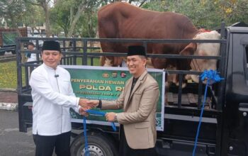Polda Riau Salurkan 191 Ekor Hewan Kurban, Masyarakat Bersyukur