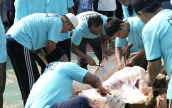 Lapas Cipinang Terima 10 Sapi-14 Kambing, Dirjenpas: Warga Binaan Nikmati Kurban – Update 3